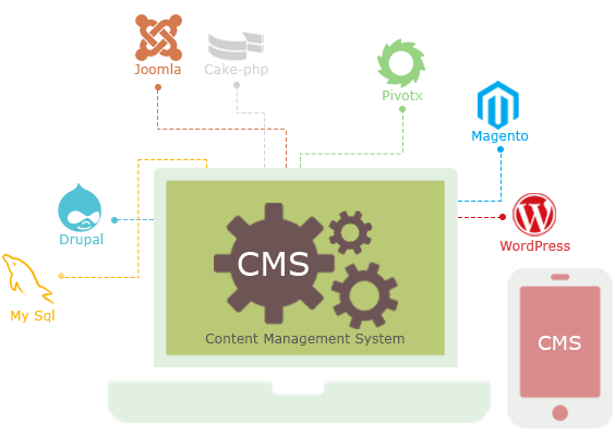 Content Management System Solution