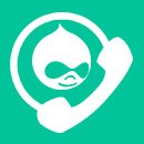 drupal consulting