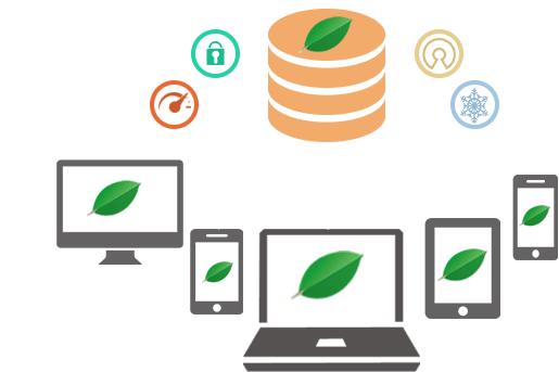 mongobd design and development services